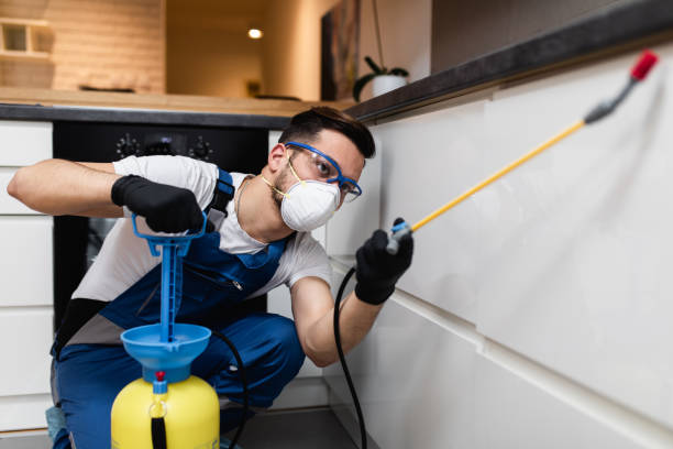 Best Pest Control Near Me  in Providence, UT