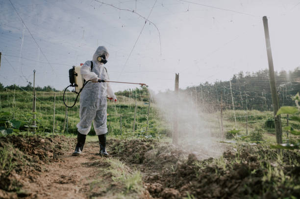 Best Local Pest Control Services  in Providence, UT