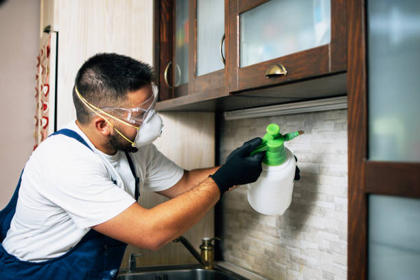 Best Pest Removal Services  in Providence, UT