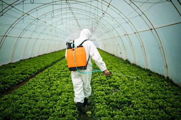 Best Pest Prevention Services  in Providence, UT