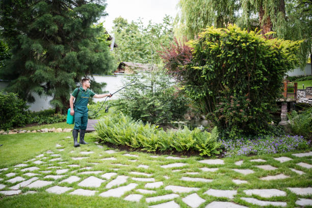 Best Pest Control Treatment  in Providence, UT