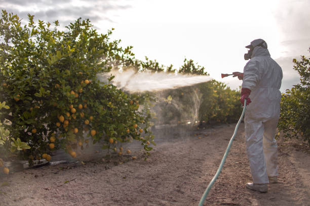Best Local Pest Control Services  in Providence, UT
