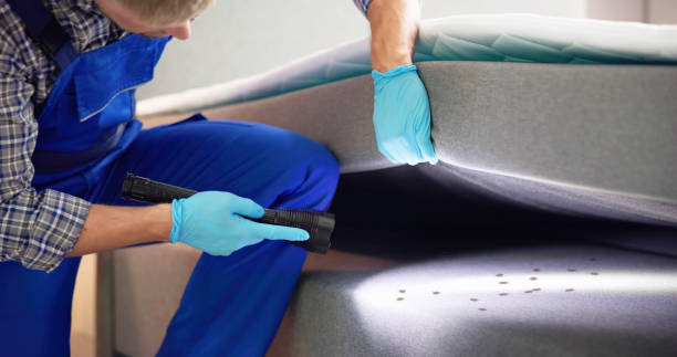 Best Wasp Removal Services  in Providence, UT