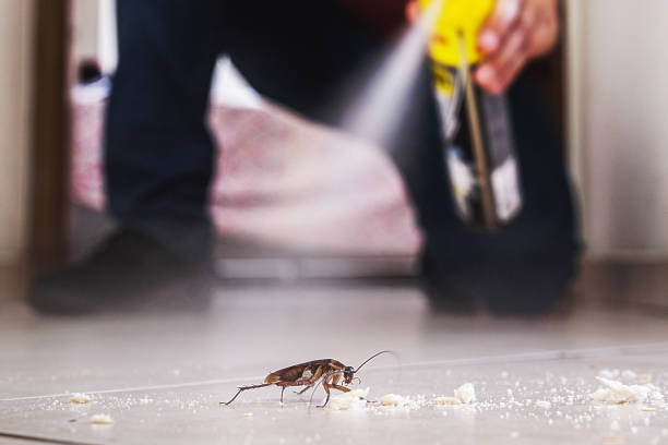 Trusted Providence, UT Pest Control Experts