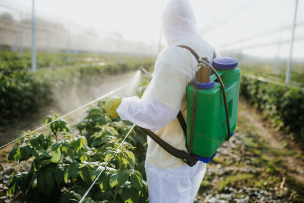 Best Pest Control for Homes  in Providence, UT